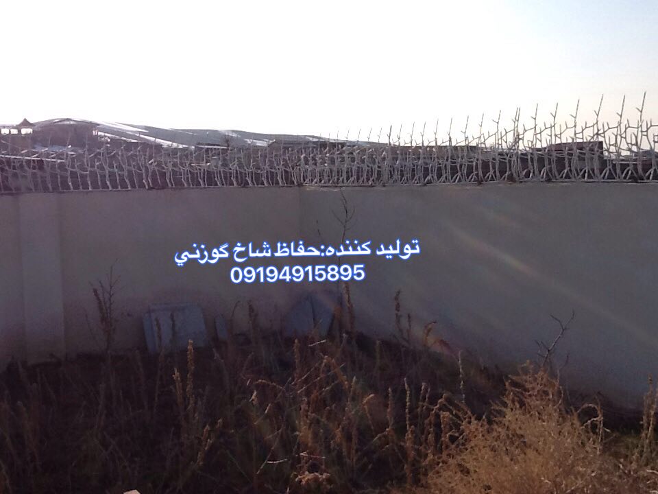 حفاظ شاخ گوزنی