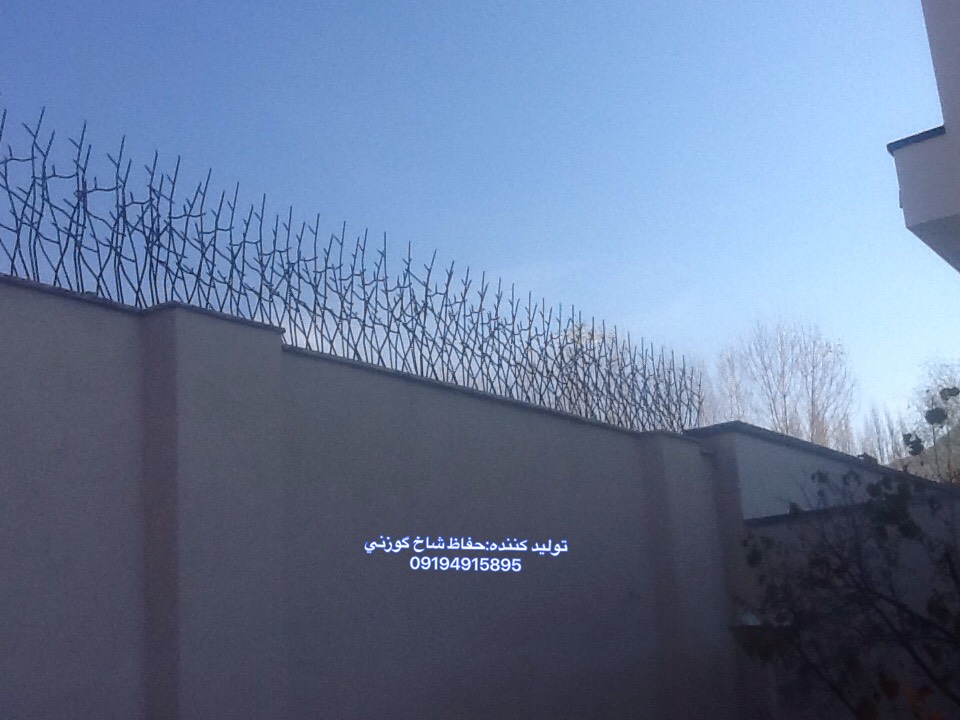 حفاظ شاخ گوزنی